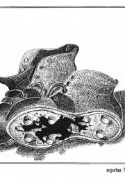 thumbnail of cobo-propaganda-boicot-al-mundial-78-10