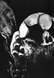 thumbnail of cobo-propaganda-boicot-al-mundial-78-19