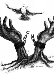 thumbnail of cobo-propaganda-boicot-al-mundial-78-31