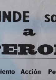 thumbnail of movimiento-accion-peronista-osinde-salvo-a-peron