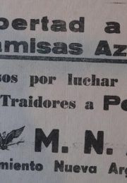 thumbnail of movimiento-nueva-argentina-libertad-a-los-camisas-azules
