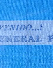 thumbnail of bienvenido-peron-brazalete