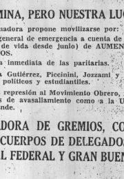 thumbnail of el-ano-termina-pero-nuestra-lucga-sigue