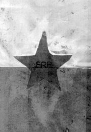 thumbnail of bandera-del-erp