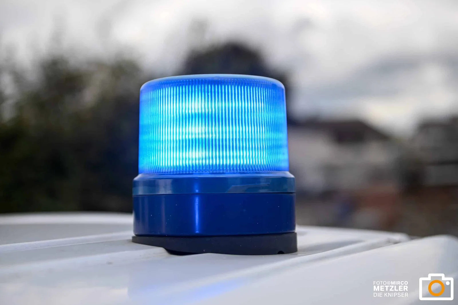 Schlag gegen Antiken-Mafia: Razzien gegen Kulturgut-Schmuggler in mehreren Ländern
