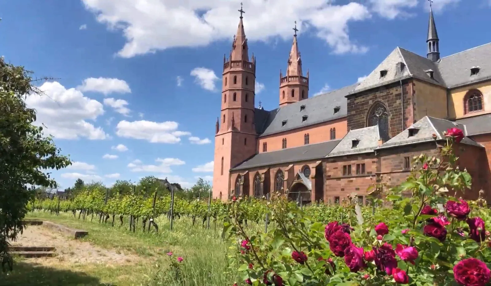 Glaube zwischen Reben: Marienmonat beginnt an Wormser Liebfrauenkirche