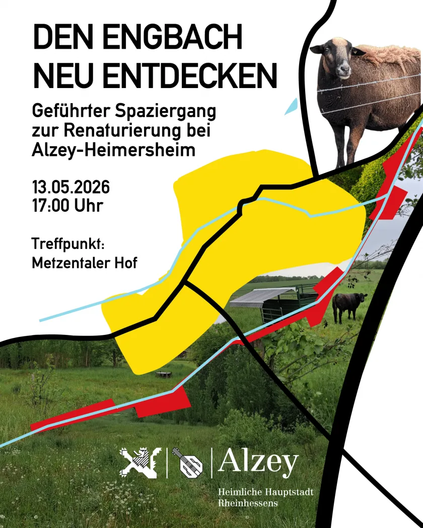 Natur erleben am Engbach: Spaziergang zeigt ökologische Vielfalt in Heimersheim