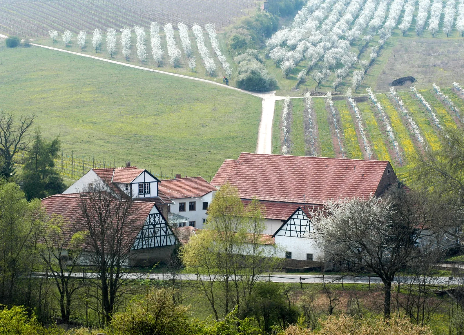 Geheimnisvolle Geistermühle – Kultur, Geschichte & Rheinhessen erleben