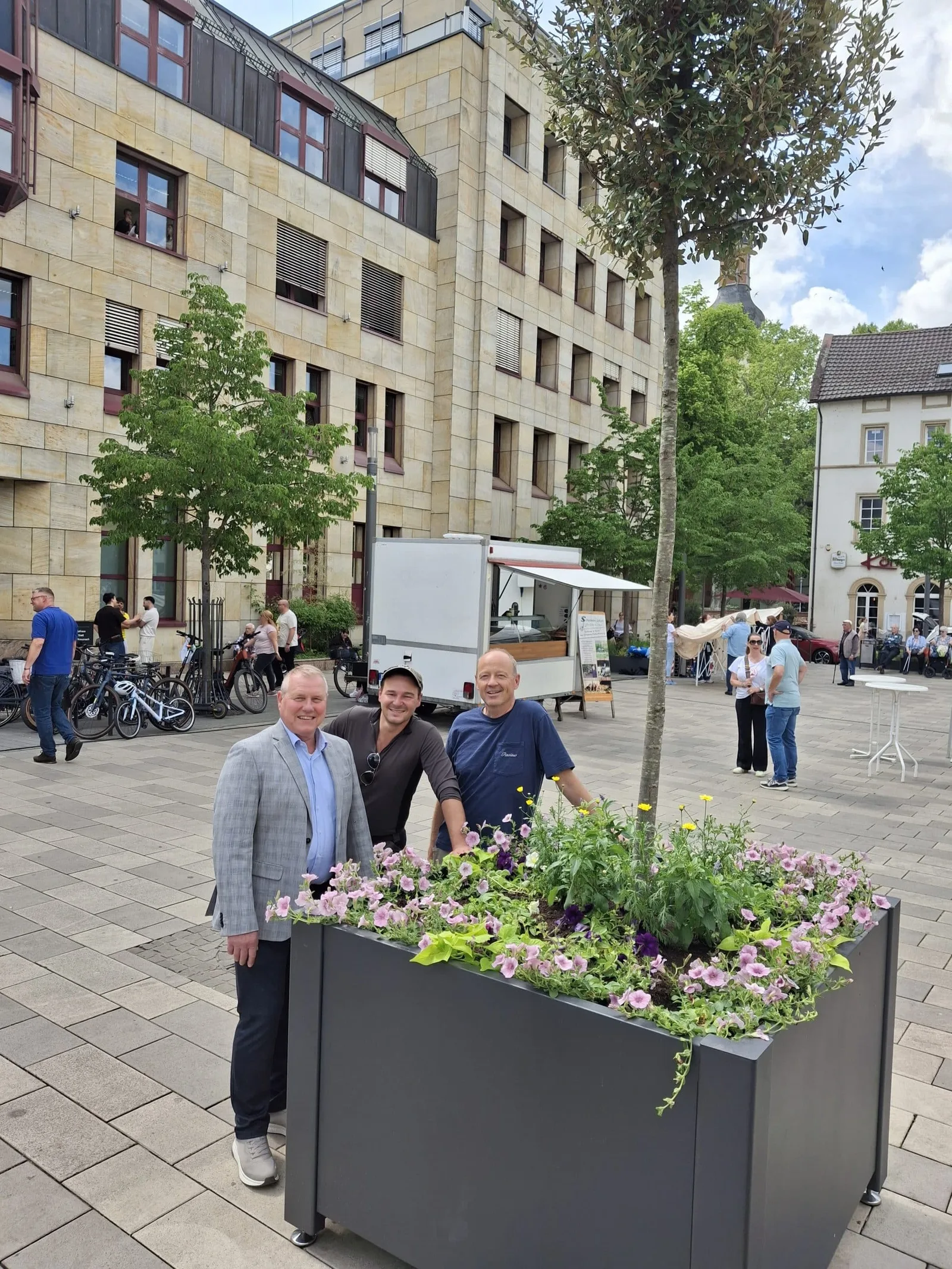 Schattenspender für die Innenstadt: Steineichen ziehen auf den Kornmarkt