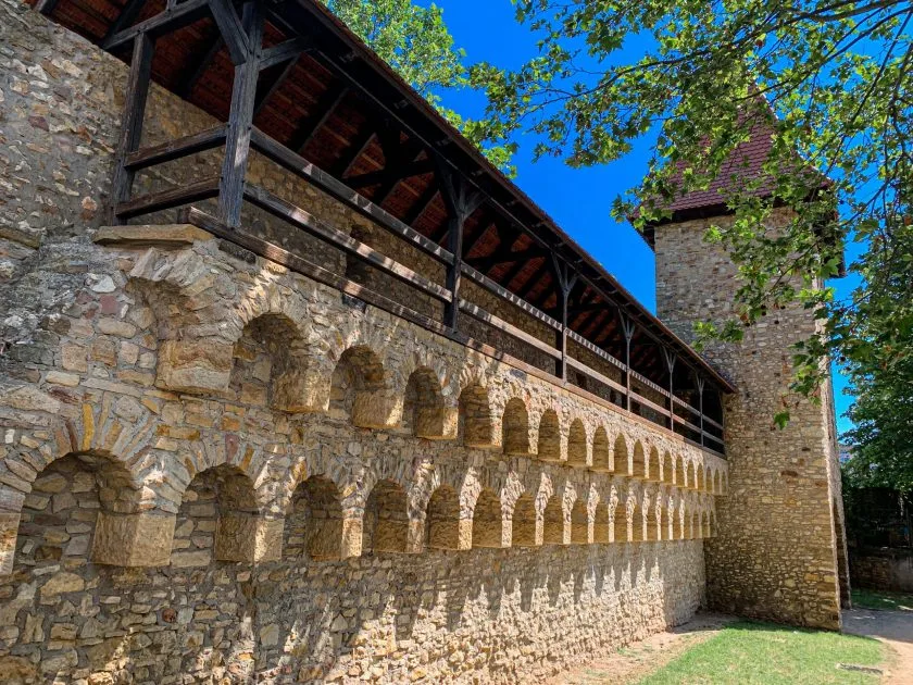 „Alzeyer Weingeschichte(n)“: Themenführung lädt zu historischem Stadtrundgang ein
