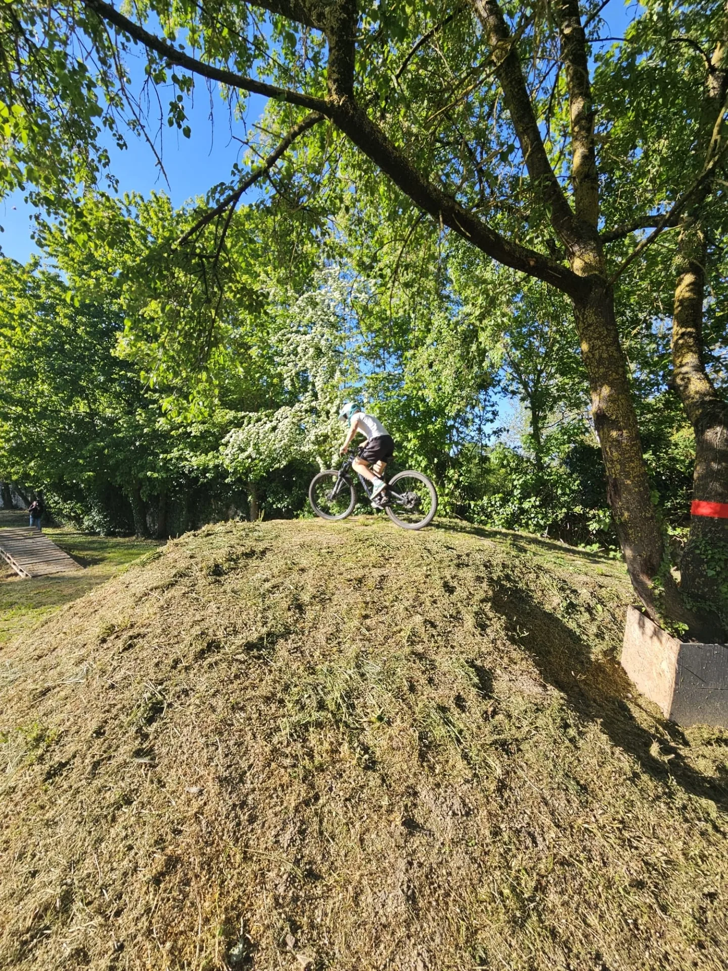 Mit Eigeninitiative zum Dirtpark: Dautenheim feiert neue Anlage