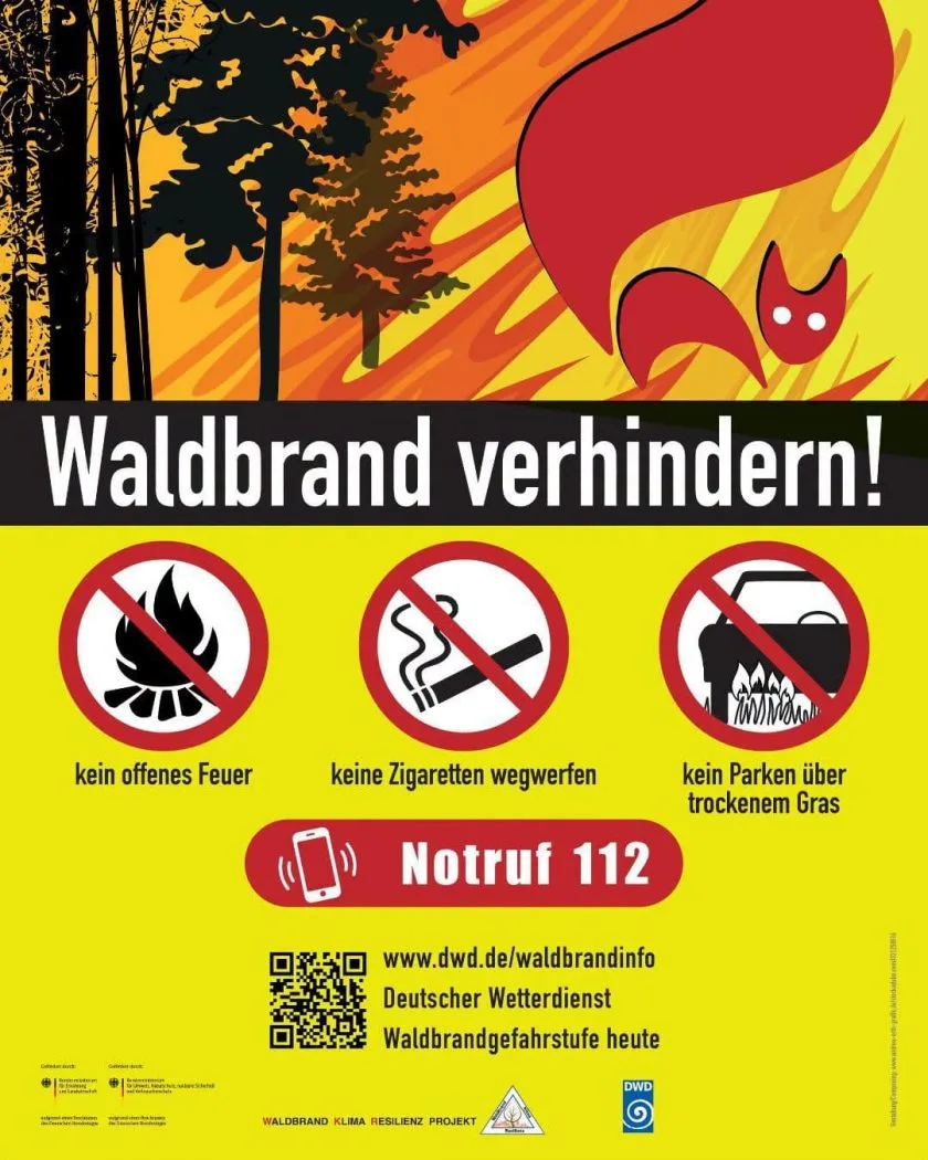 Waldbrandgefahr in Rheinhessen: Jeder Funke kann zur Katastrophe werden