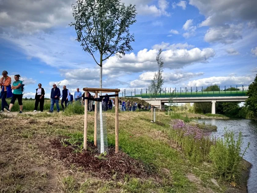 Selz-Renaturierung im IG Ost: Bürger erleben neue Grünflächen in Alzey aus nächster Nähe