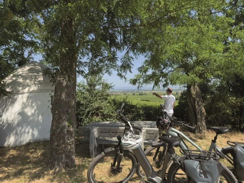 Zwischen Trulli und Reben: Rad- und Genusserlebnis im südlichen Rheinhessen