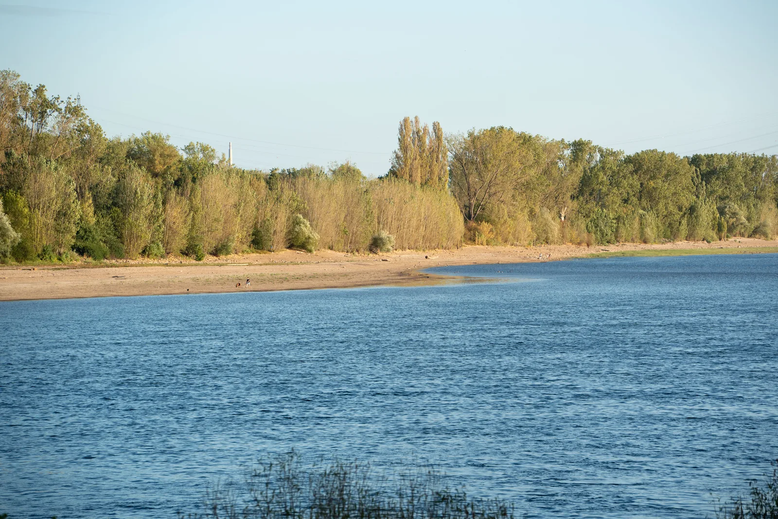 Niedrigwasser setzt Flüssen und Ökosystemen zu