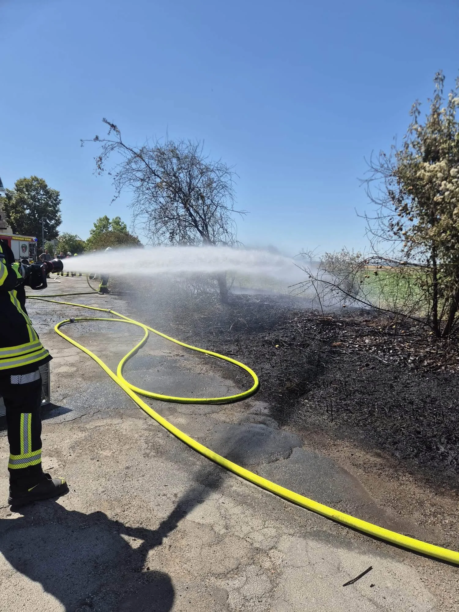 Großflächiger Vegetationsbrand in Worms-Ibersheim