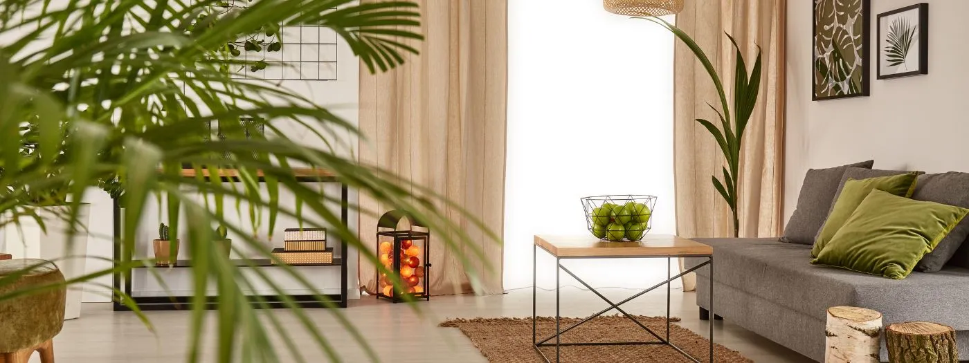 comment decorer un appartement neuf