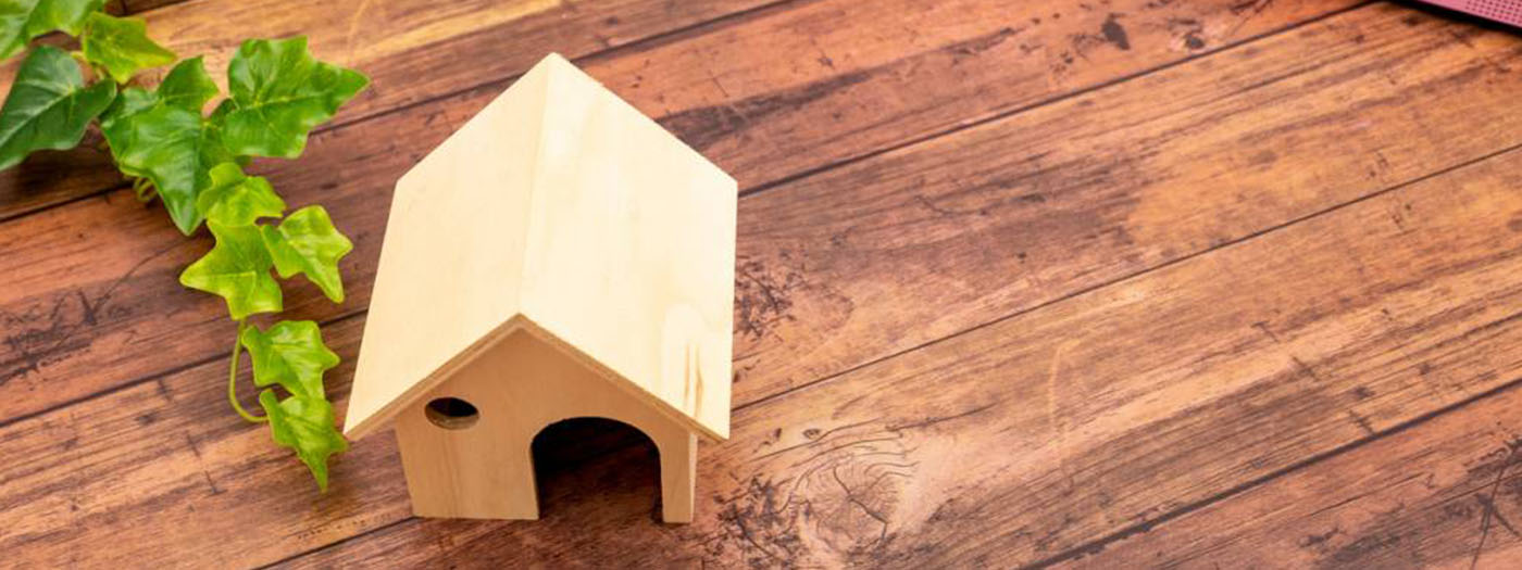 comment se constituer un patrimoine immobilier