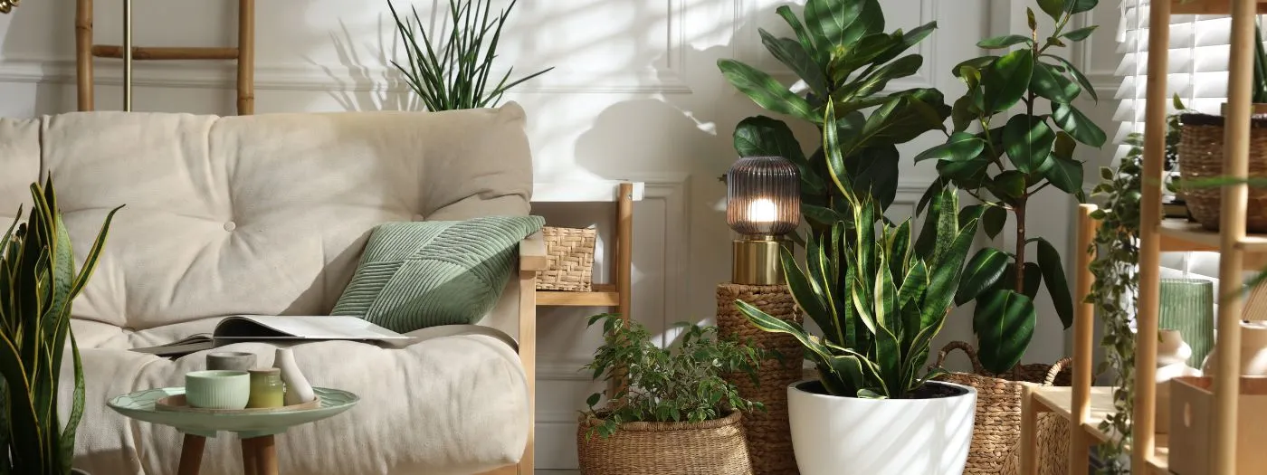un salon décoré avec une chaise, des plantes vertes et une lampe éclairant l'espace