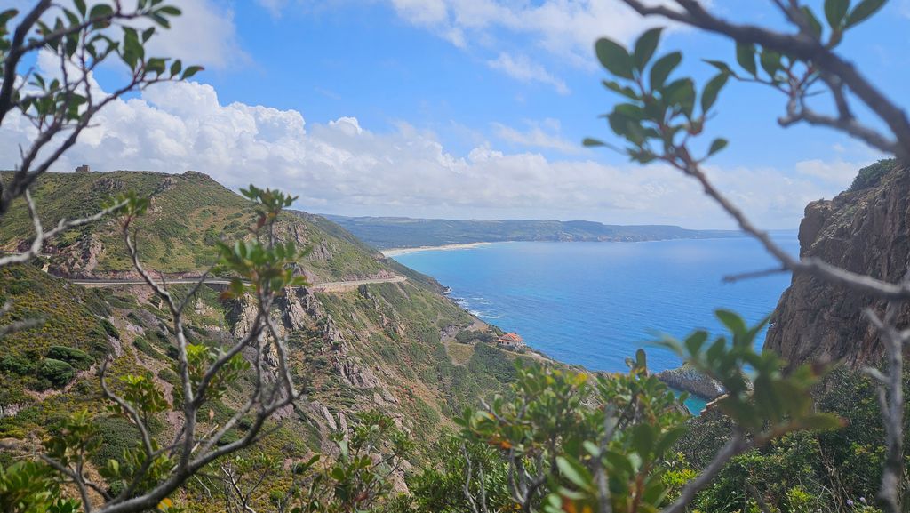 View of a steep coastline with green hills, a small beach in the distance, and a blue sea under a partly cloudy sky, framed by branches and leaves in the foreground.