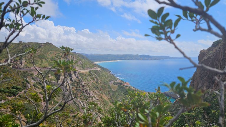 View of a steep coastline with green hills, a small beach in the distance, and a blue sea under a partly cloudy sky, framed by branches and leaves in the foreground.