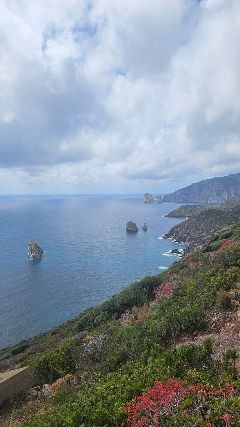 Coastal landscape with rocks in the blue sea and a hillside covered with green and red vegetation under a cloudy sky.