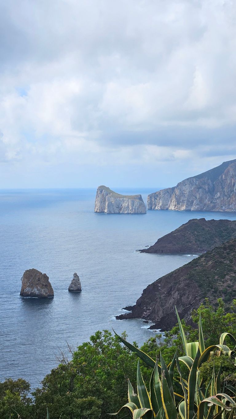View of rocky islands and rugged coastline in the sea under a cloudy sky, with green vegetation and agave plants in the foreground.