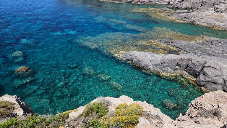 Clear turquoise water along a rocky coastline with visible rocks beneath the water surface and vegetation on the shore.