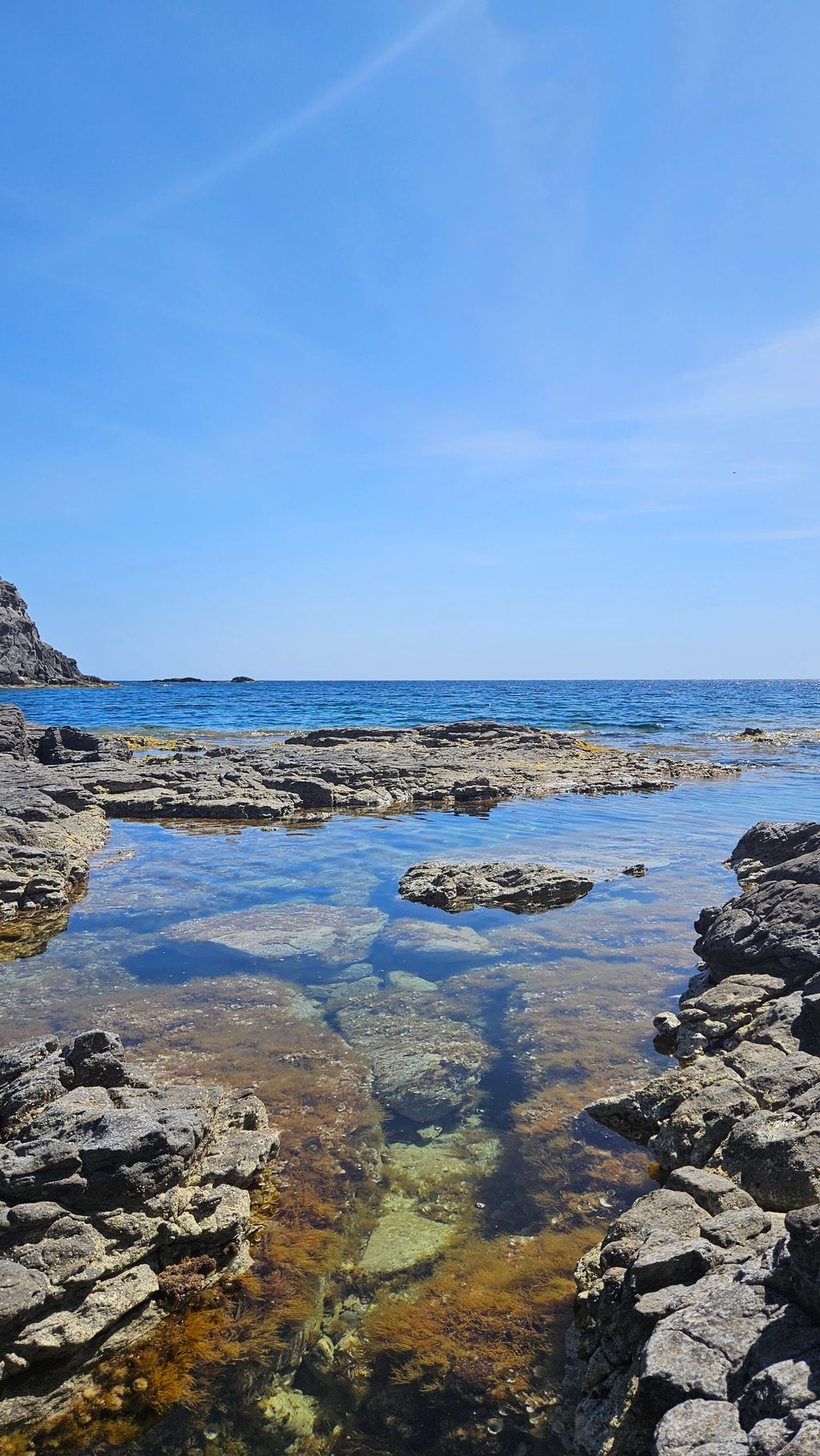 Clear water with rocks and seaweed along the coast under a blue sky and distant sea horizon.