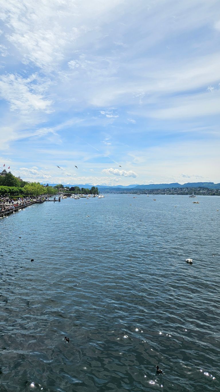 Wide river or lake with clear water surface and birds flying above, promenade with people and trees along the shore under sunny sky with some clouds.