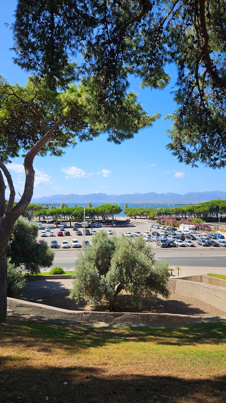 Parknaher Blick auf einen Parkplatz mit vielen geparkten Autos, im Hintergrund Bäume, ein blauer Himmel und Berge in der Ferne.