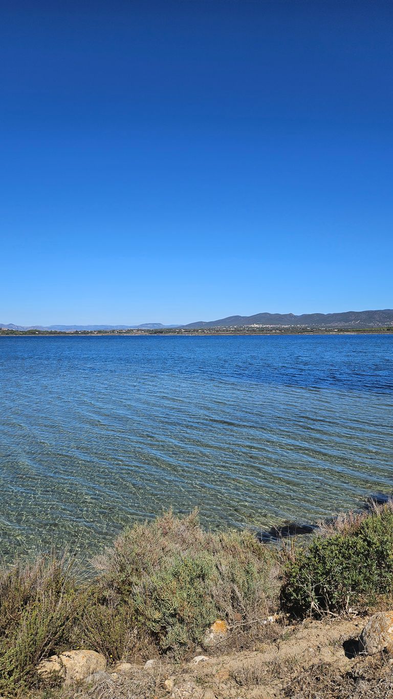 Klares Wasser eines Sees mit Uferbewuchs im Vordergrund und Bergen im Hintergrund unter einem wolkenlosen blauen Himmel.