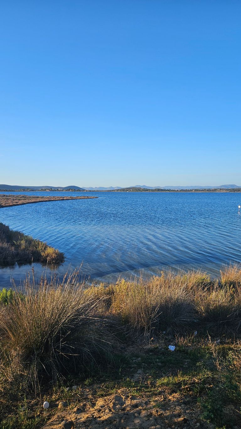 Blick auf einen ruhigen See oder eine Lagune mit Grasbüscheln am Ufer und einem klaren blauen Himmel am späten Nachmittag.