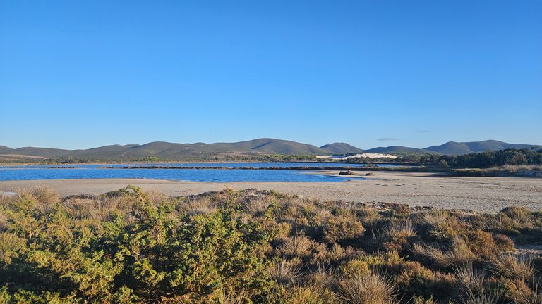 Ein Landschaftsbild mit niedrigem Buschwerk im Vordergrund, sandigem Ufer und einem Gewässer in der Mitte, dahinter Berge unter klarem blauem Himmel.