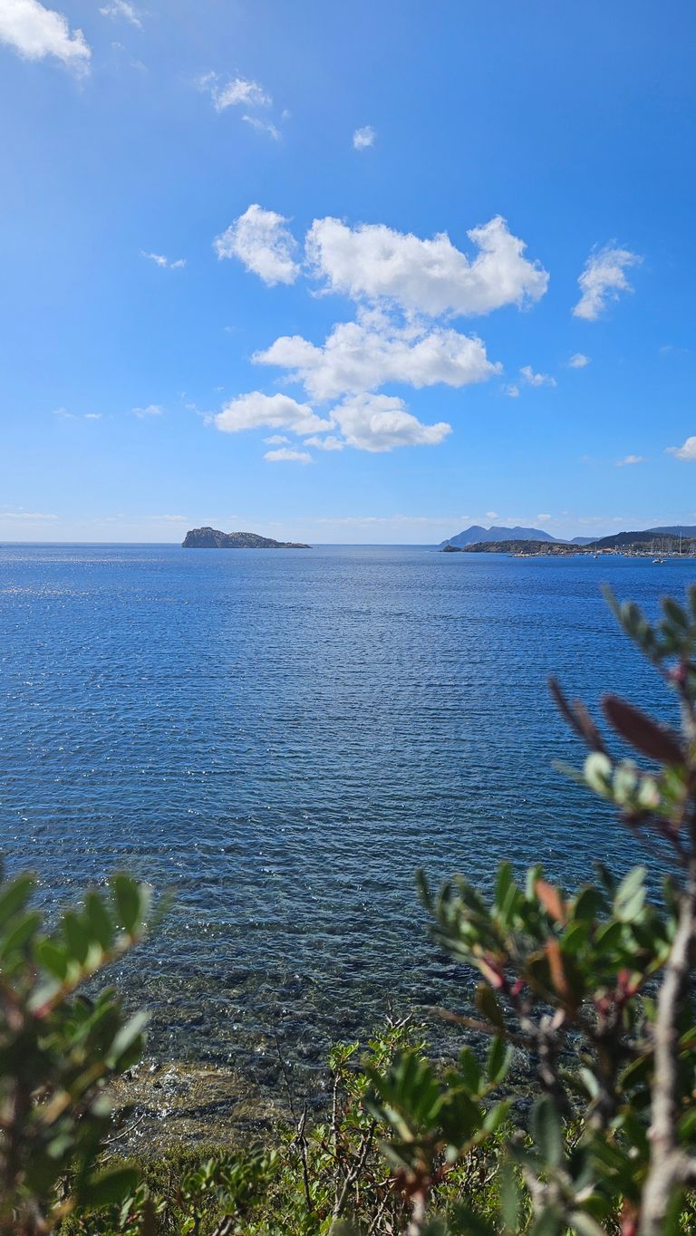 Klares, ruhiges Meer unter blauem Himmel mit weißen Wolken, im Vordergrund unscharfe grüne Pflanzen und im Hintergrund Inseln am Horizont.