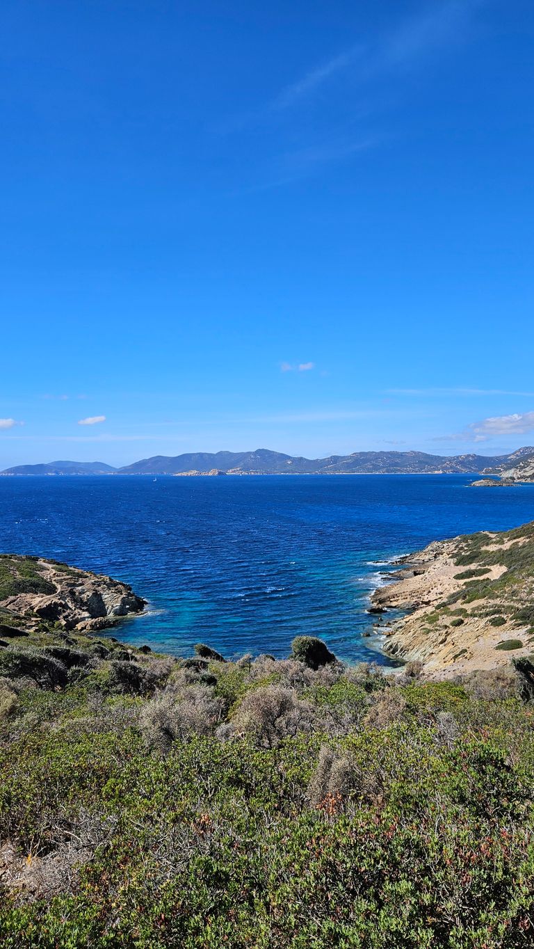 Küstenlinie mit kahlen Felsen und dichtem Grün, das auf das klare blaue Meer hinausblickt, unter einem wolkenlosen blauen Himmel.