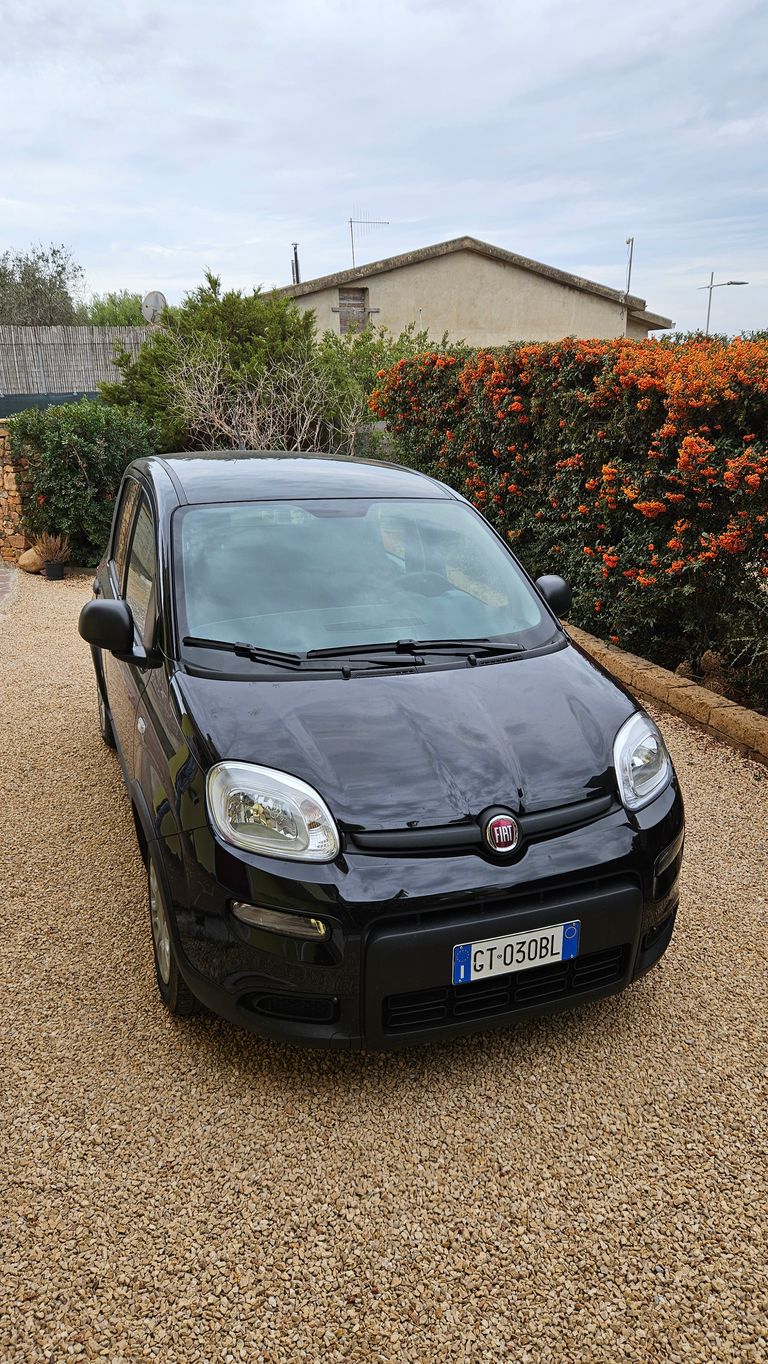 Ein schwarzer Fiat-Kleinwagen steht auf einem mit Kies bedeckten Hof, im Hintergrund sind Sträucher mit orangen Blüten und ein Haus zu sehen.