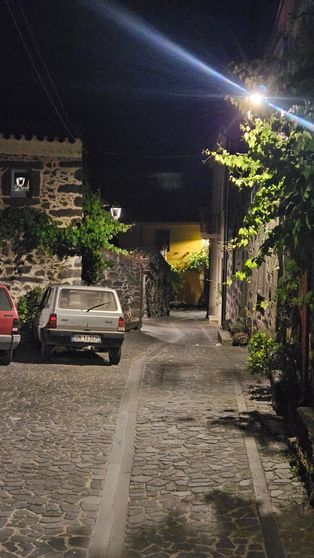Dorfstraße bei Nacht mit gepflastertem Boden, zwei geparkten Autos und einer mit grünen Pflanzen bewachsenen steinernen Hauswand, beleuchtet von Straßenlaternen.