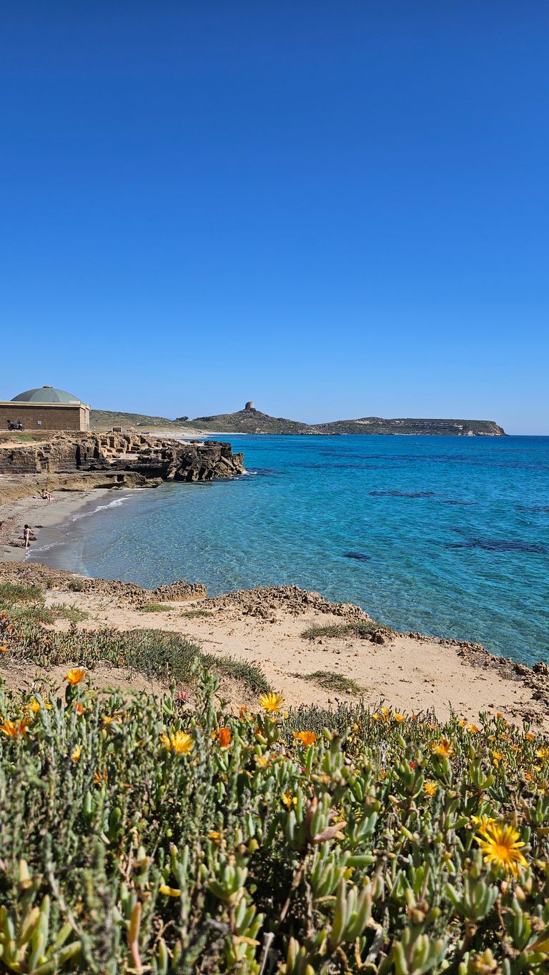 Blick auf einen felsigen Strand mit klar blauem Wasser und gelben Blüten im Vordergrund, daneben ein Gebäuderund mit Kuppeldach und eine Insel mit einem Turm am Horizont unter einem wolkenlosen Himmel.