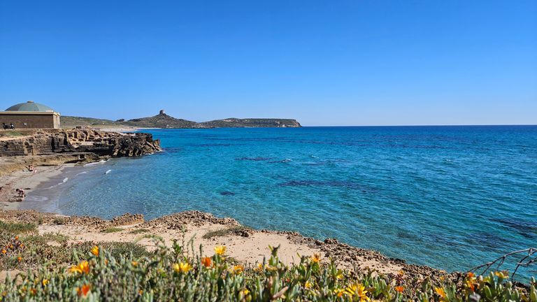 Blick auf eine felsige Küste mit klarem blauem Wasser, wild wachsenden Blüten im Vordergrund und einem kleinen Sandstrand. Im Hintergrund ist ein Hügel mit einem kleinen Turm und einem Gebäude mit einer Kuppel sichtbar.