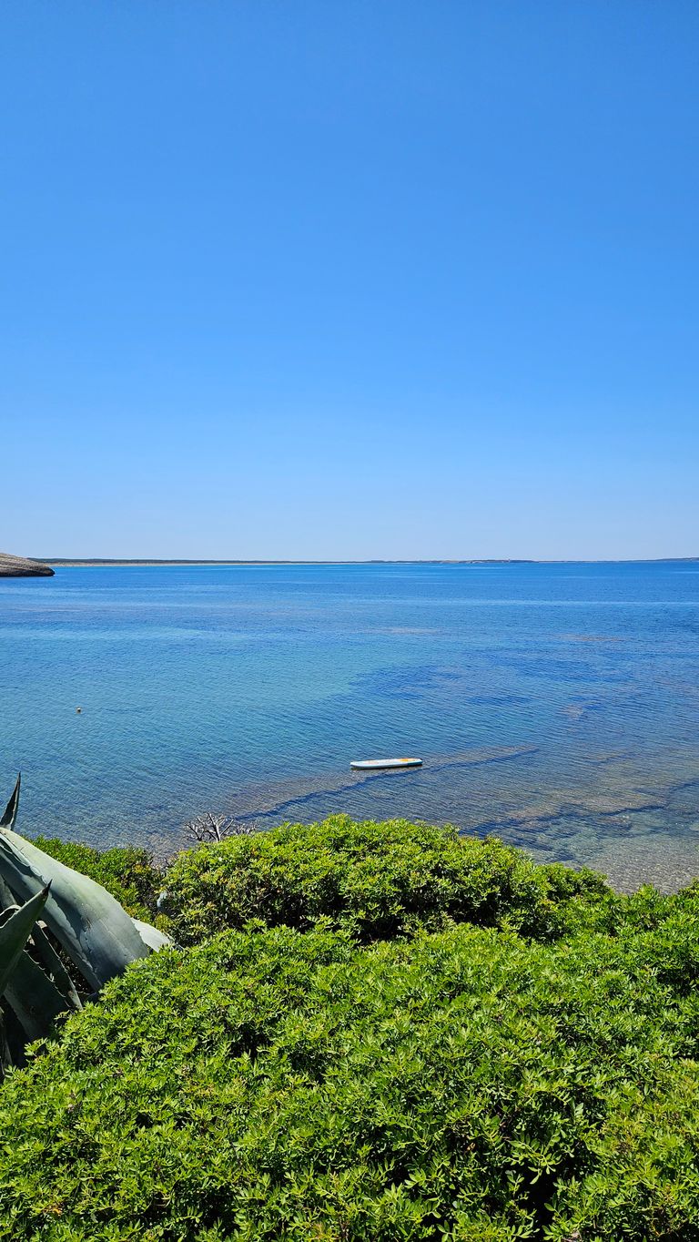 Klares blaues Meer mit einem Paddleboard, das nahe am Ufer auf dem Wasser schwimmt, und grünem Buschwerk im Vordergrund unter einem wolkenlosen Himmel.