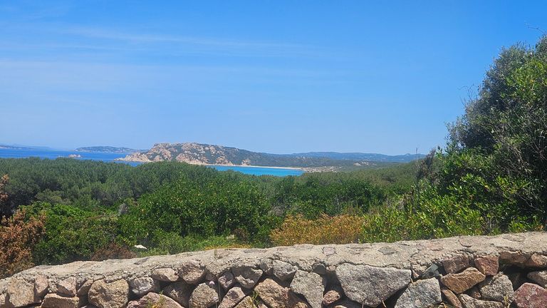 Blick über eine Steinmauer auf dichten grünen Busch und dahinter das blaue Meer mit felsigem Küstenabschnitt unter klarem blauem Himmel.