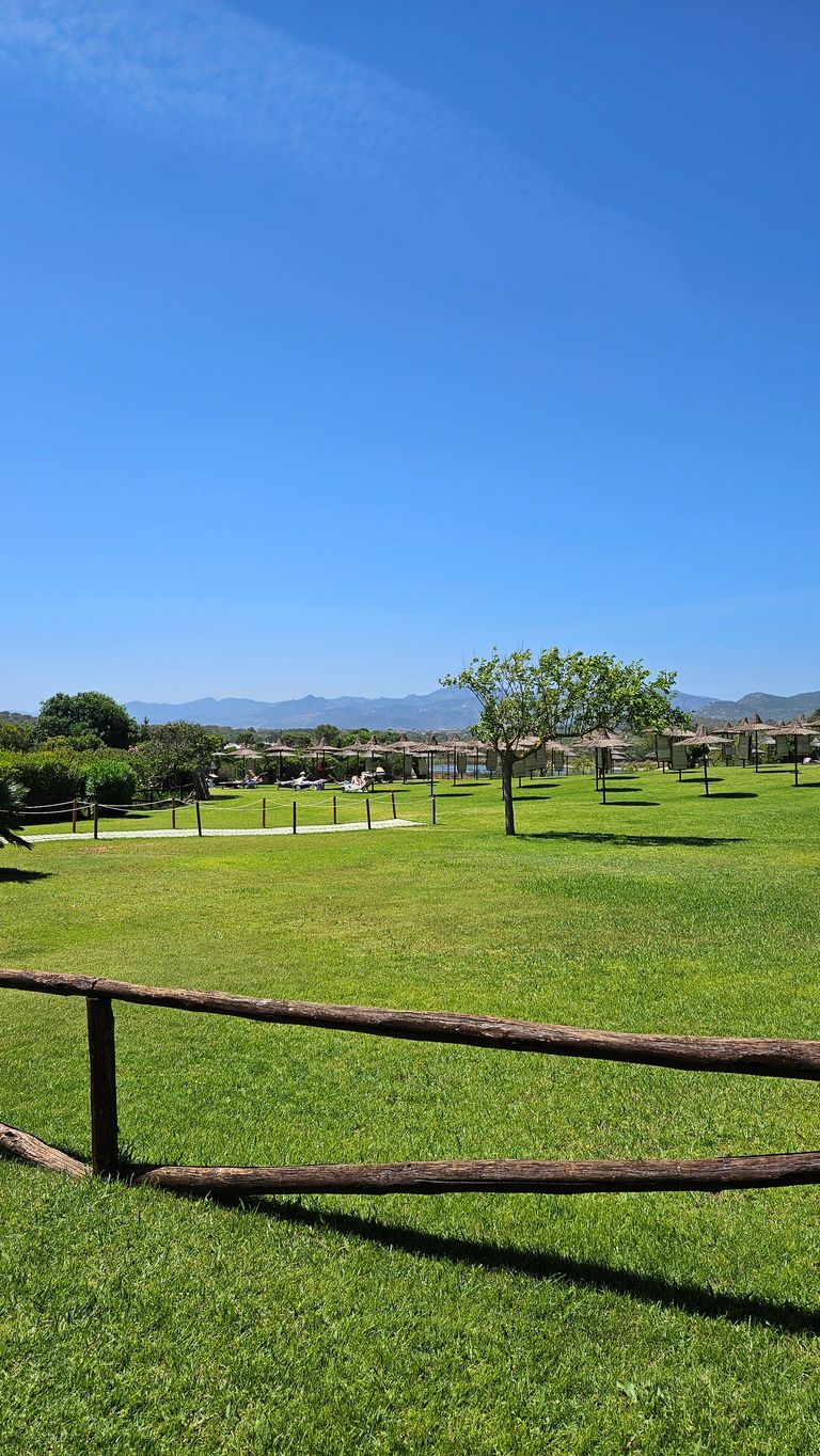 Grüne Wiese mit einzelnen Bäumen und Holzgeländer im Vordergrund, Sonnenliegen unter Strohhüten und Berge im Hintergrund bei klarem Himmel.