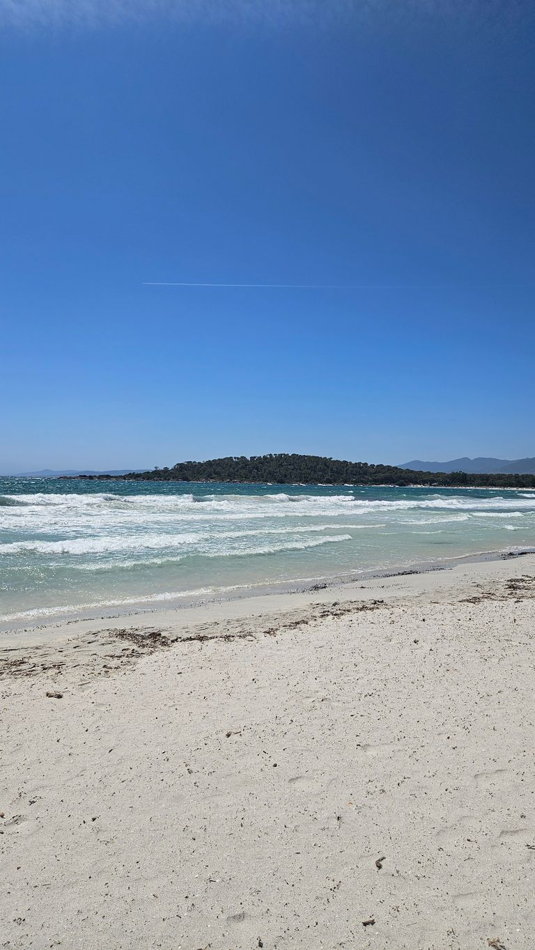 Ein sandiger Strand mit Wellen und einem bewaldeten Hügel im Hintergrund unter klarem blauem Himmel.
