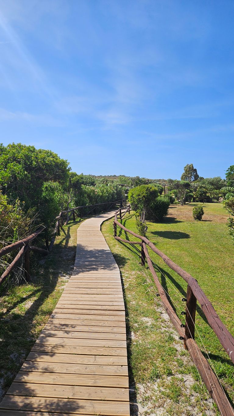 Ein hölzerner Bohlenweg, der sich durch eine grüne Landschaft mit Büschen und Gras unter blauem Himmel schlängelt, flankiert von einem Holzgeländer.