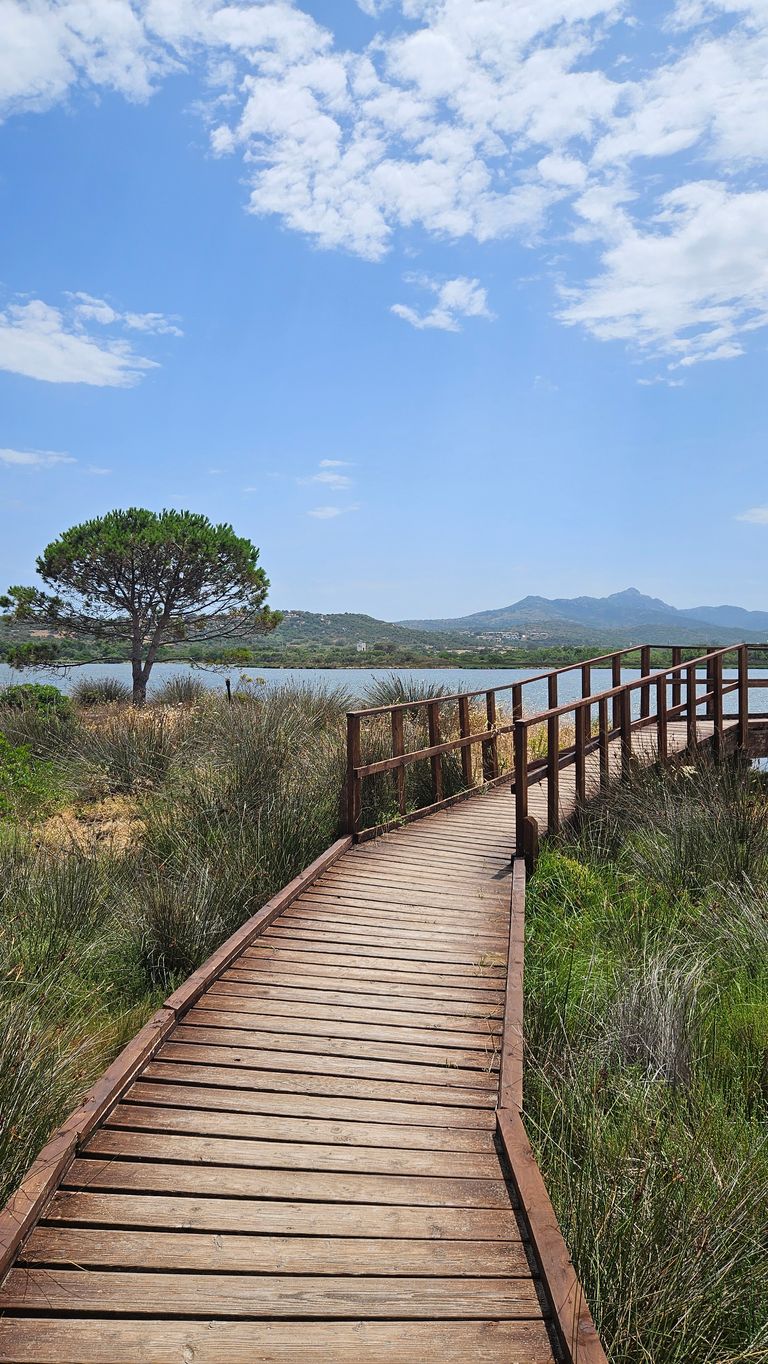 Holzsteg mit Geländer führt durch Graslandschaft zum Wasser mit einem einzelnen Baum und Bergen im Hintergrund unter blauem Himmel mit Wolken.