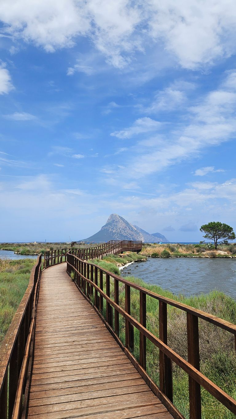 Holzsteg führt über Feuchtgebiet mit einem einzelnen Baum und Wasserflächen, im Hintergrund ein großer Felsen unter blauem Himmel mit verstreuten Wolken.