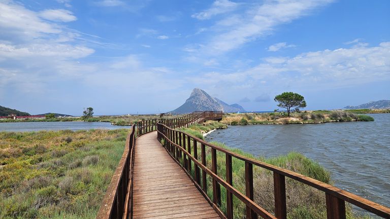 Holzsteg mit Geländer führt durch eine Feuchtwiese entlang von Wasserflächen bei bewölktem Himmel mit bergigem Hintergrund.