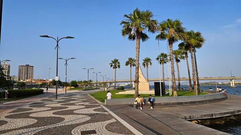 Promenade am Wasser mit Palm Bäumen, Sitzbänken und einer gepflasterten Wellenmuster-Fläche unter blauem Himmel in einer städtischen Umgebung.