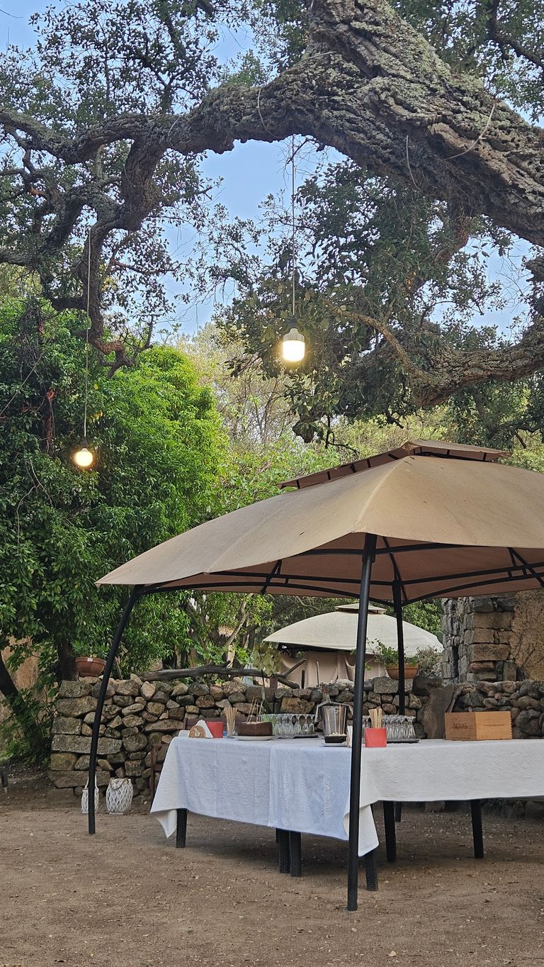 Ein gedeckter Tisch unter einem großen braunen Sonnenschirm im Freien, umgeben von Bäumen, einer Steinmauer und zwei hängenden Lampen an Ästen.